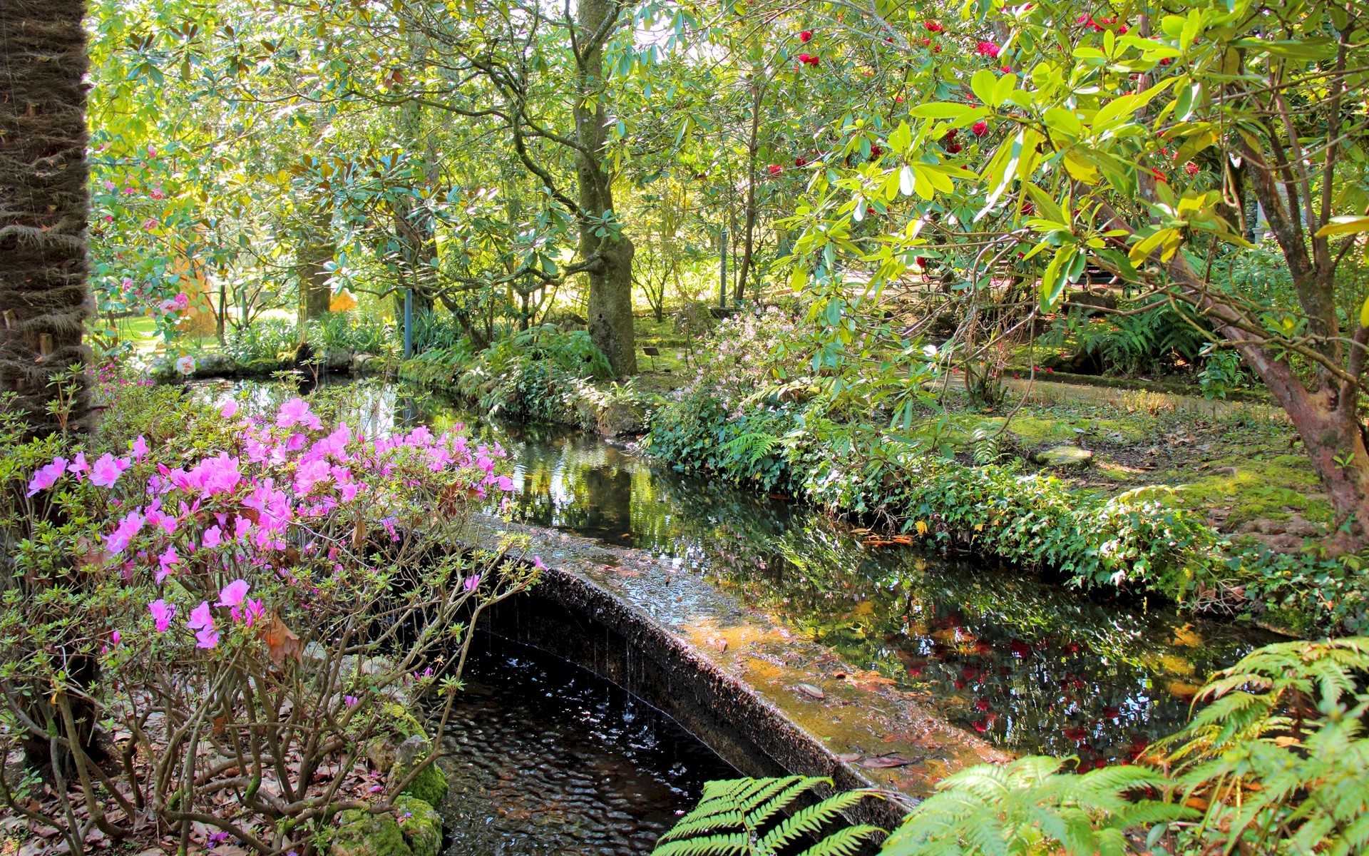 DESCOBRIR ROTA DO GRANDE PORTO