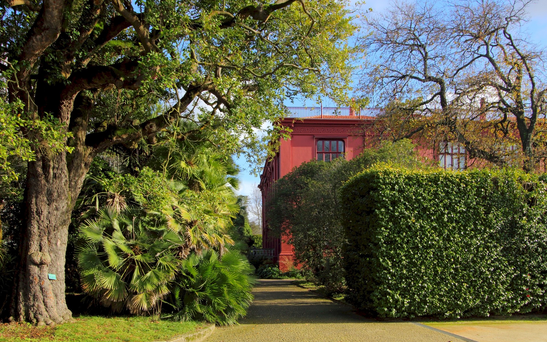 Conhecer Jardim Botânico do Porto