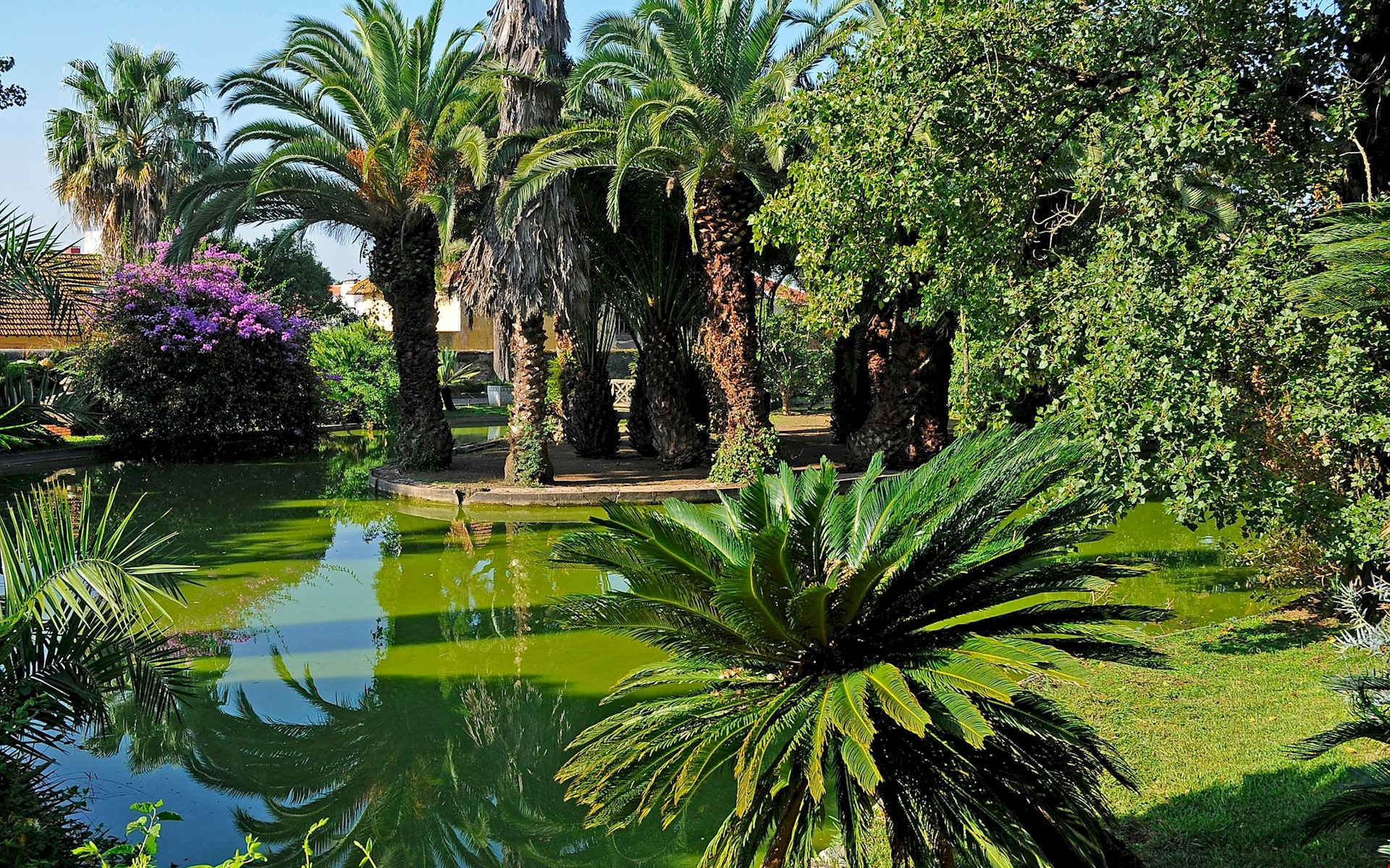 Conhecer Jardim Botânico Tropical